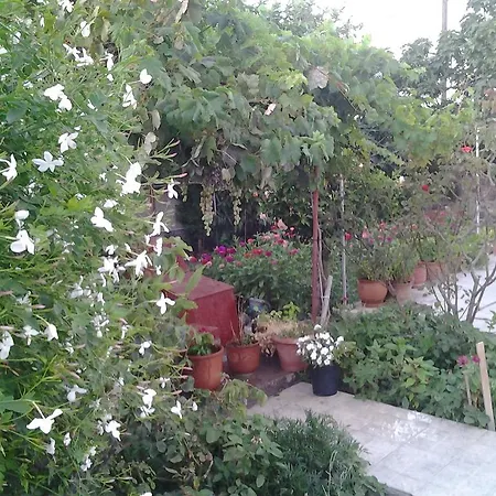 Guest house Anestoula Skala (Patmos)