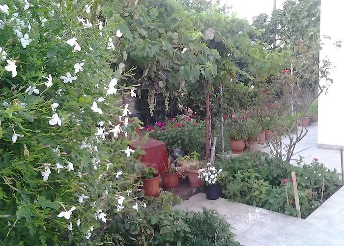 بيت ضيافة Anestoula سكالا